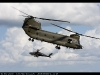 RAF-Role-Demo-Chinook-photo-3