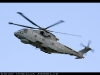 Royal-Navy-Merlin-Display-Photo-1