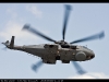Royal-Navy-Merlin-Display-Photo-2