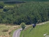 RAF-Hawk-T1W-XX224-Low-Level-photo-1