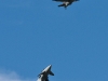 RAF-Typhoon-Spitfire-Photo-2