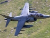Royal-Navy-Harrier-T12-ZH657-800-NAS-photo