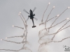 Dutch-Apache-Display