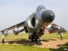 Navy-Sea-Harrier-FA2-ZH800-Cottesmore-Photo