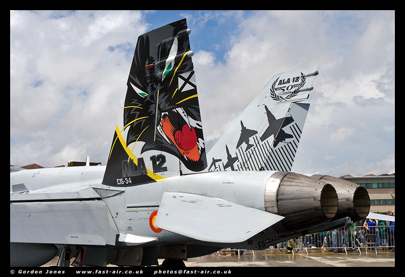 Spanish Air Force EF-18A Special Tail Photo