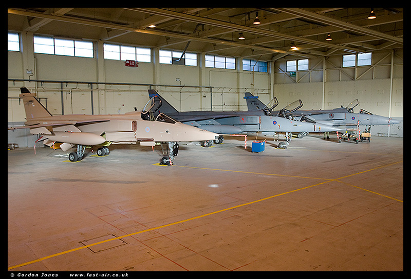 6 Sqn Jaguar GR3A XX725 Desert Pink Special