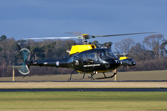 Squirrel HT1 ZJ271